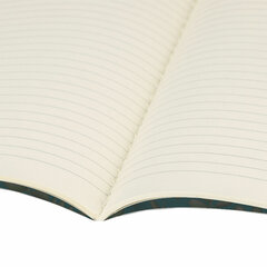 Тетради 40 л. в линию обложка SoftTouch, НАБОР 3 шт., бежевая бумага 70 г/<wbr/>м<sup>2</sup>, сшивка, А5 (147&times;210 мм), FLORA, BRAUBERG, 403798