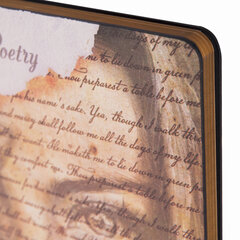 Тетрадь А5 (168&times;208 мм), 80 л., сшивка, клетка, под кожу, BRAUBERG VISTA, &laquo;Poetry&raquo;, 403921