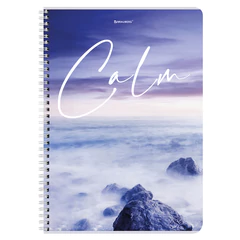 Тетрадь А4, 96 л., BRAUBERG, гребень, клетка, обложка картон, &laquo;Calm&raquo;, 404059