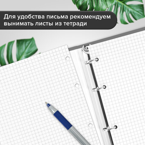 Тетрадь на кольцах БОЛЬШАЯ 210х305 мм А4, 100 л., обложка картон, клетка, BRAUBERG "Dark", 404101
