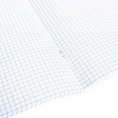 Тетрадь А5 48 л. АЛЬТ скоба, клетка, глянцевый лак, &laquo;Кошки. Яркий взгляд&raquo; (5 видов), 7-48-1019