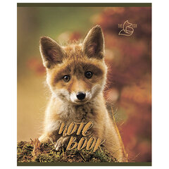 Тетрадь А5, 48 л., ПЗБМ, скоба, клетка, конгрев, глянцевый лак, &laquo;Хитрый лис&raquo; (5 видов), 028061