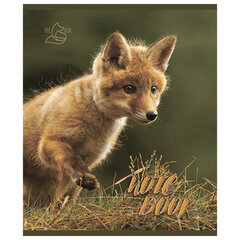 Тетрадь А5, 48 л., ПЗБМ, скоба, клетка, конгрев, глянцевый лак, &laquo;Хитрый лис&raquo; (5 видов), 028061