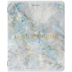 Тетрадь предметная &laquo;PASTEL&raquo; 48 л., SoftTouch, фольга, ОБЩЕСТВОЗНАНИЕ, клетка, BRAUBERG, 404310