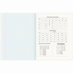 Тетради предметные со справочным материалом, КОМПЛЕКТ 12 ПРЕДМЕТОВ, 48 л., обложка картон, BRAUBERG, &laquo;VISION&raquo;, 404323