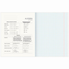 Тетради предметные со справочным материалом, КОМПЛЕКТ 12 ПРЕДМЕТОВ, 48 л., обложка картон, BRAUBERG, &laquo;VISION&raquo;, 404323