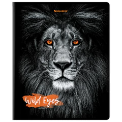 Тетрадь А5, 48 л., BRAUBERG, скоба, клетка, выборочный лак, &laquo;Wild eyes&raquo; (микс в спайке), 404343