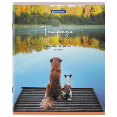 Тетрадь А5 48 л. BRAUBERG скоба, клетка, обложка картон, &laquo;Best Friends&raquo; (микс в спайке), 404360