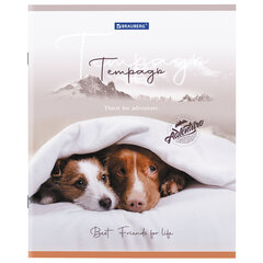 Тетрадь А5 48 л. BRAUBERG скоба, клетка, обложка картон, &laquo;Best Friends&raquo; (микс в спайке), 404360