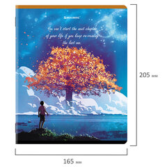 Тетради КОМПЛЕКТ 5 шт., А5, 96 л., BRAUBERG скоба, клетка, глянцевый лак, &laquo;Dream World&raquo;, 404402