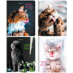 Тетрадь А5 80 л. BRAUBERG, гребень, клетка, глянцевая ламинация, &laquo;Довольные Коты&raquo; (микс в спайке), 404417