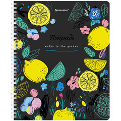 Тетрадь А5 96 л. BRAUBERG, гребень, клетка, глянцевая ламинация, &laquo;Bright Fruits&raquo; (микс в спайке), 404420