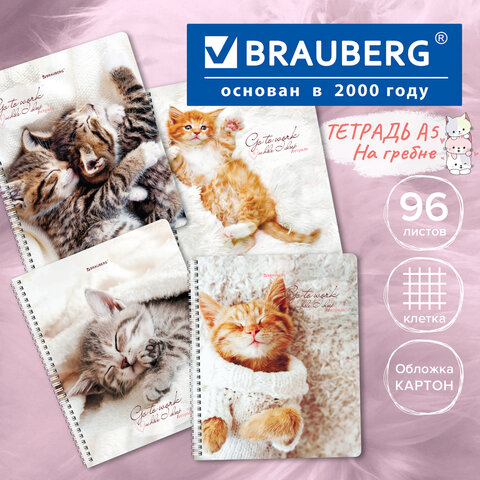 Тетрадь А5 96л. BRAUBERG гребень, клетка, Котики, 404425