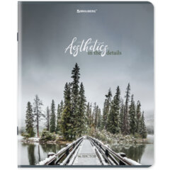 Тетрадь А5, 96 л., BRAUBERG, скоба, клетка, глянцевая ламинация, &laquo;Nature&raquo;, 404427