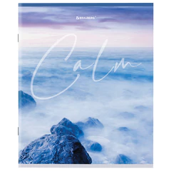 Тетрадь А5 96 л. BRAUBERG скоба, клетка, обложка картон, &laquo;Calm&raquo; (микс в спайке), 404435