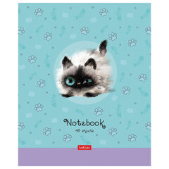 Тетрадь А5 48 л. HATBER скоба, клетка, обложка картон, &laquo;Кошарики&raquo; (микс в спайке), 075302