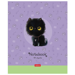 Тетрадь А5 48 л. HATBER скоба, клетка, обложка картон, &laquo;Кошарики&raquo; (микс в спайке), 075302