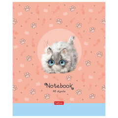 Тетрадь А5 48 л. HATBER скоба, клетка, обложка картон, &laquo;Кошарики&raquo; (микс в спайке), 075302