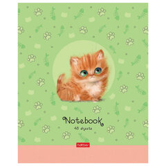 Тетрадь А5 48 л. HATBER скоба, клетка, обложка картон, &laquo;Кошарики&raquo; (микс в спайке), 075302