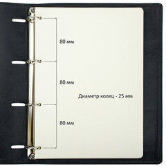 Тетрадь на кольцах БОЛЬШАЯ А4 (240&times;310 мм), 120 листов, под кожу, клетка, BRAUBERG &laquo;Main&raquo;, черный, 404509