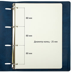 Тетрадь на кольцах БОЛЬШАЯ А4 (240&times;310 мм), 120 листов, под кожу, клетка, BRAUBERG &laquo;Main&raquo;, синий, 404510