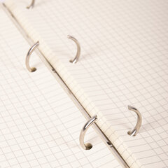 Тетрадь на кольцах БОЛЬШАЯ А4 (240&times;310 мм), 120 листов, под кожу, клетка, BRAUBERG &laquo;Main&raquo;, коричневый, 404511