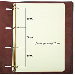 Тетрадь на кольцах БОЛЬШАЯ А4 (240&times;310 мм), 120 листов, под кожу, клетка, BRAUBERG &laquo;Main&raquo;, коричневый, 404511