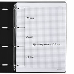 Тетрадь на кольцах БОЛЬШАЯ А4 (240&times;310 мм), 120 л., под кожу, BRAUBERG VISTA, Black, 404512
