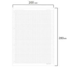 Сменный блок для тетради на кольцах БОЛЬШОЙ ФОРМАТ А4 120 л., BRAUBERG, ПОВЫШЕННОЙ ПЛОТНОСТИ, белый, 404516