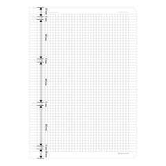 Сменный блок для тетради на кольцах БОЛЬШОЙ ФОРМАТ А4 120 л., BRAUBERG, ПОВЫШЕННОЙ ПЛОТНОСТИ, белый, 404516