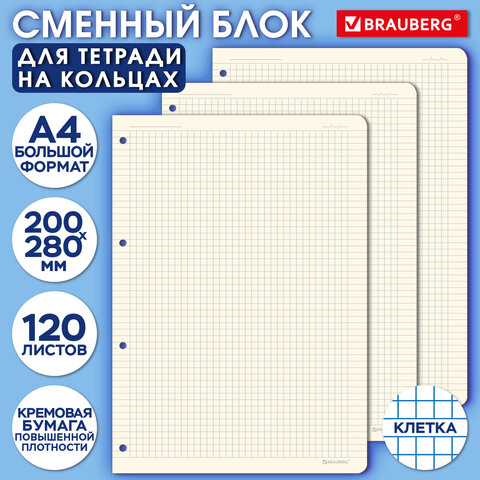 Сменный блок к тетради на кольцах БОЛЬШОЙ А4 120л, BRAUBERG, ПОВЫШЕННОЙ ПЛОТНОСТИ, кремовый, 404517