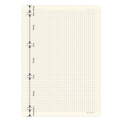 Сменный блок для тетради на кольцах БОЛЬШОЙ ФОРМАТ А4 120 л., BRAUBERG, ПОВЫШЕННОЙ ПЛОТНОСТИ, кремовый, 404517