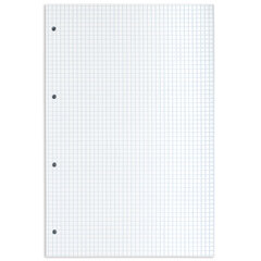 Сменный блок к тетради на кольцах БОЛЬШОГО ФОРМАТА А4, 120 л., BRAUBERG, Белый, 404518