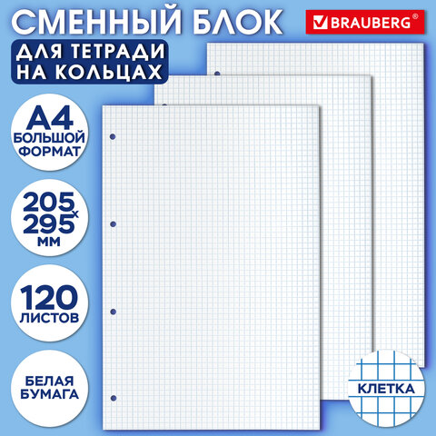 Сменный блок для тетради на кольцах БОЛЬШОГО ФОРМАТА А4 120л. BRAUBERG, Белый, 404518