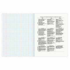 Тетрадь предметная &laquo;КОТ-ЭНТУЗИАСТ&raquo; 48 л., TWIN-лак, АНГЛИЙСКИЙ ЯЗЫК, клетка, подсказ, BRAUBERG, 404558