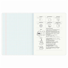 Тетрадь предметная &laquo;КОТ-ЭНТУЗИАСТ&raquo; 48 л., TWIN-лак, ГЕОМЕТРИЯ, клетка, подсказ, BRAUBERG, 404561