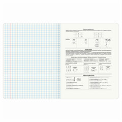 Тетрадь предметная &laquo;КОТ-ЭНТУЗИАСТ&raquo; 48 л., TWIN-лак, ИНФОРМАТИКА, клетка, подсказ, BRAUBERG, 404562