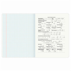 Тетрадь предметная &laquo;КОТ-ЭНТУЗИАСТ&raquo; 48 л., TWIN-лак, ФИЗИКА, клетка, подсказ, BRAUBERG, 404566
