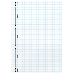 Сменный блок для тетради на кольцах А5, 160 л., BRAUBERG, &laquo;Белый&raquo;, 404613