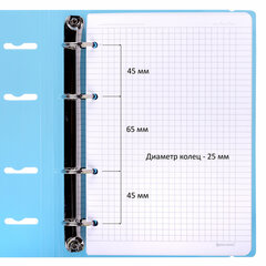 Тетрадь на кольцах А5 175&times;220 мм, 120 л., пластик, с резинкой, BRAUBERG, Синий, 404617