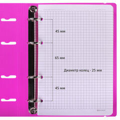 Тетрадь на кольцах А5 175&times;220 мм, 120 л., пластик, с резинкой, BRAUBERG, Розовый, 404622