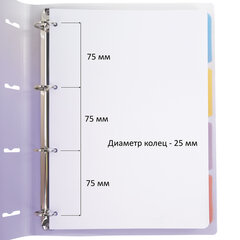 Тетрадь на кольцах БОЛЬШАЯ 305&times;235 мм А4, 120 л., пластик, с разделителями, BRAUBERG, Фиолетовый, 404623