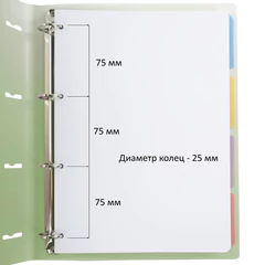 Тетрадь на кольцах БОЛЬШАЯ 305&times;235 мм А4, 120 л., пластик, с разделителями, BRAUBERG, Зеленый, 404625