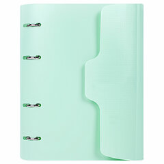 Тетрадь на кольцах А5 175&times;220 мм, 120 л., пластик, на липучке, с разделителями, BRAUBERG, Мятный, 404638