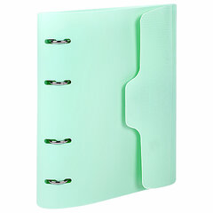 Тетрадь на кольцах А5 175&times;220 мм, 120 л., пластик, на липучке, с разделителями, BRAUBERG, Мятный, 404638