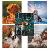 Тетради ДЭК А5 48 л. КОМПЛЕКТ 5 шт., BRAUBERG скоба, клетка, глянцевый лак, "Собачки", 404676