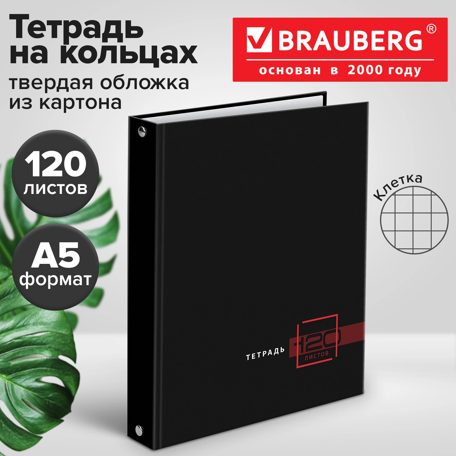 Тетрадь на кольцах А5 165х215 мм, 120 листов, твердый картон, клетка, BRAUBERG, "Dark", 404709