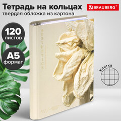 Тетрадь на кольцах А5 175х215 мм, 120 листов, твердый картон, фольга, клетка, BRAUBERG, "Softness", 404722