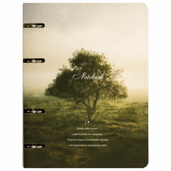 Тетрадь на кольцах А5 160&times;212 мм, 120 листов, картон, матовая ламинация, клетка, BRAUBERG, &laquo;Nature&raquo;, 404728