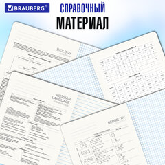 Тетради предметные, КОМПЛЕКТ 12 ПРЕДМЕТОВ, 48 л., матовая ламинация, BRAUBERG, "ANIME GIRLS", 404832